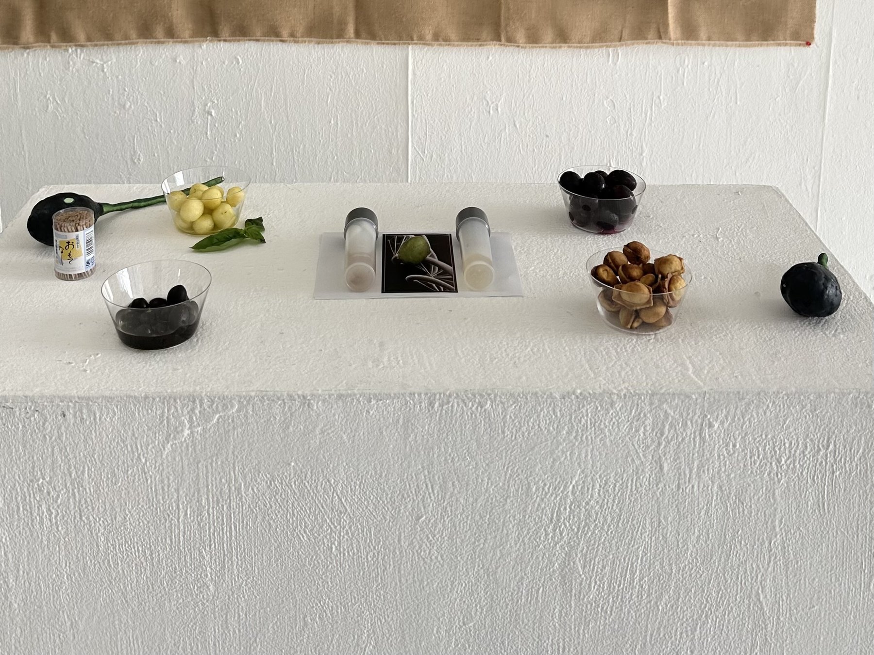 Olive specimen tasting table