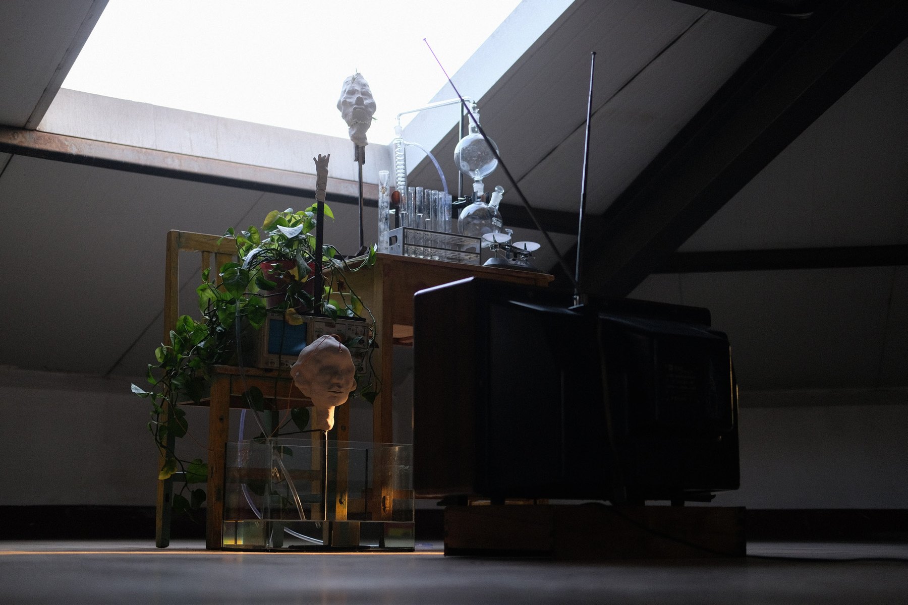 Distillation Experiment installation view